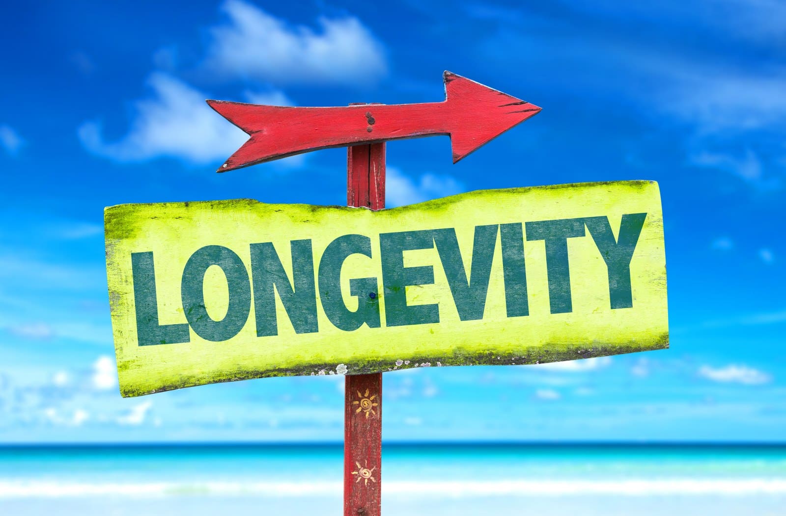 longevity green sign on a beach with red arrow above it